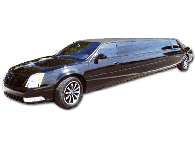 Medium Black Classic Limo Florida Medium Black Classic Limo Florida