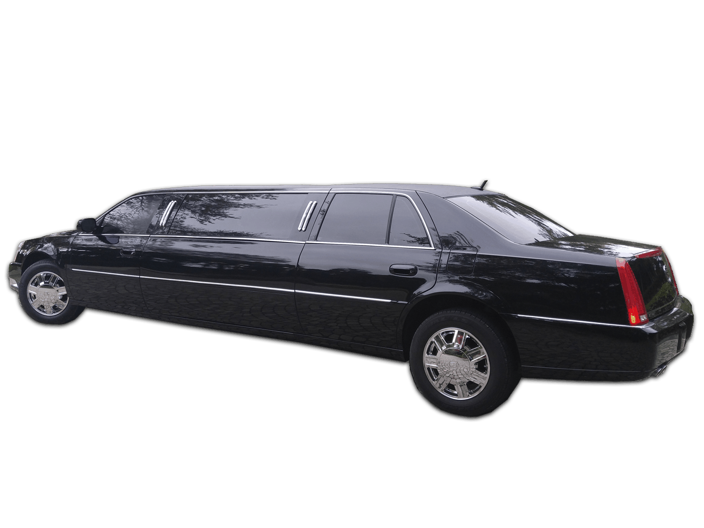 6-pack-caddy-lg.neuquant